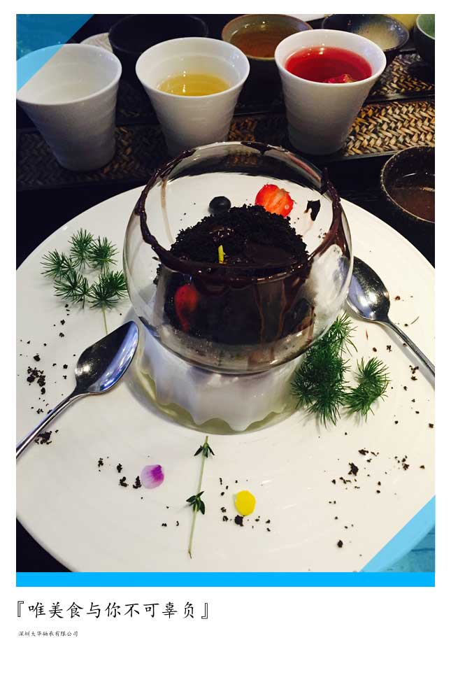 2015年第十二屆上海模型展，大華參展！